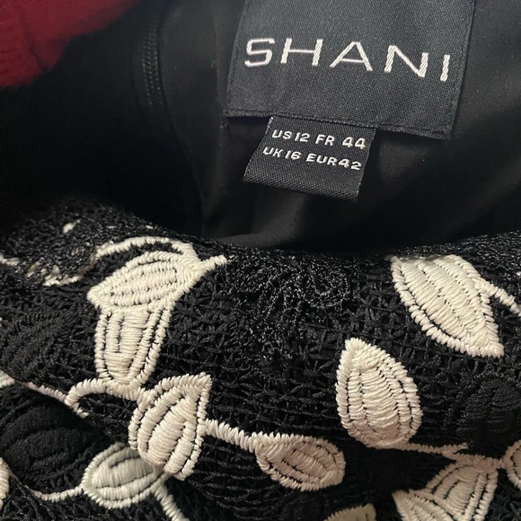 Shani Elegant Black White Lace Dress, Size 12, Knee Length, Fully Lined. - Picture 3 of 16
